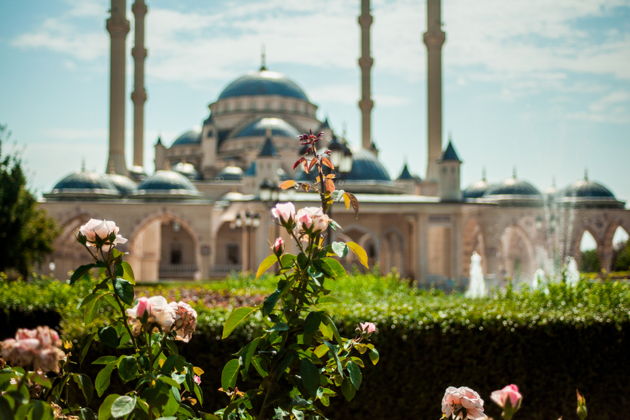 Виды Путешествие в Чечню: Шали, Грозный и Аргун