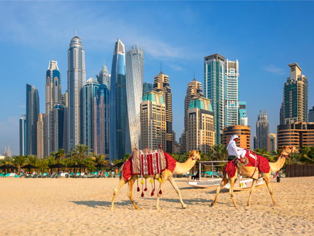 Ферма жемчуга Suwaidi Pearls