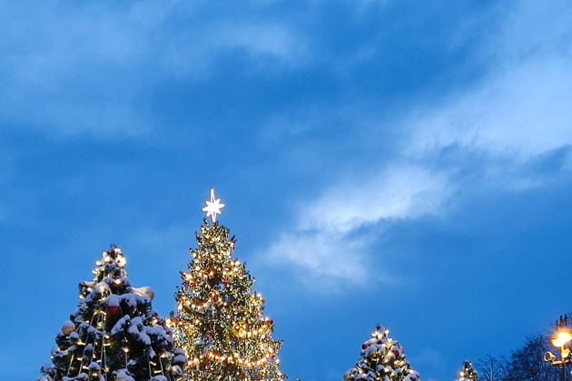 Виды Новогодний Кронштадт и Рождественское световое шоу