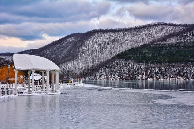 Виды Конное шоу 