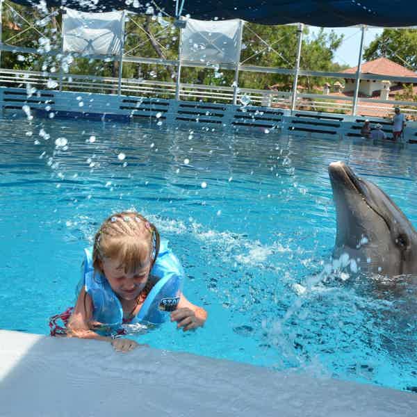 Плавание с дельфинами в Сиде - фото 3