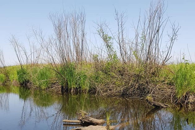 Виды Национальный парк Колхети — маленький рай 