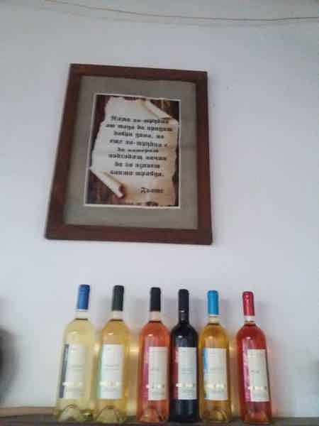 По винодельням! Дух, вино, кухня и история Болгарии - фото 2