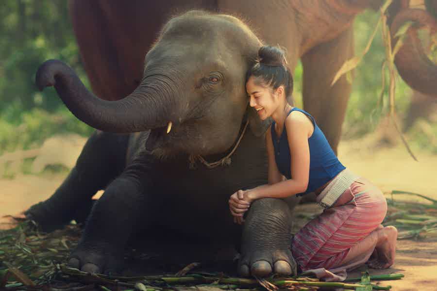 Рафтинг в Као Лаке, тур по центру слонов и черепах (на английском языке) - фото 1