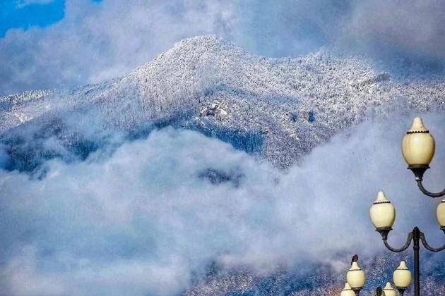 Виды Золотое кольцо Абхазии с завтраком+мандариновый сад