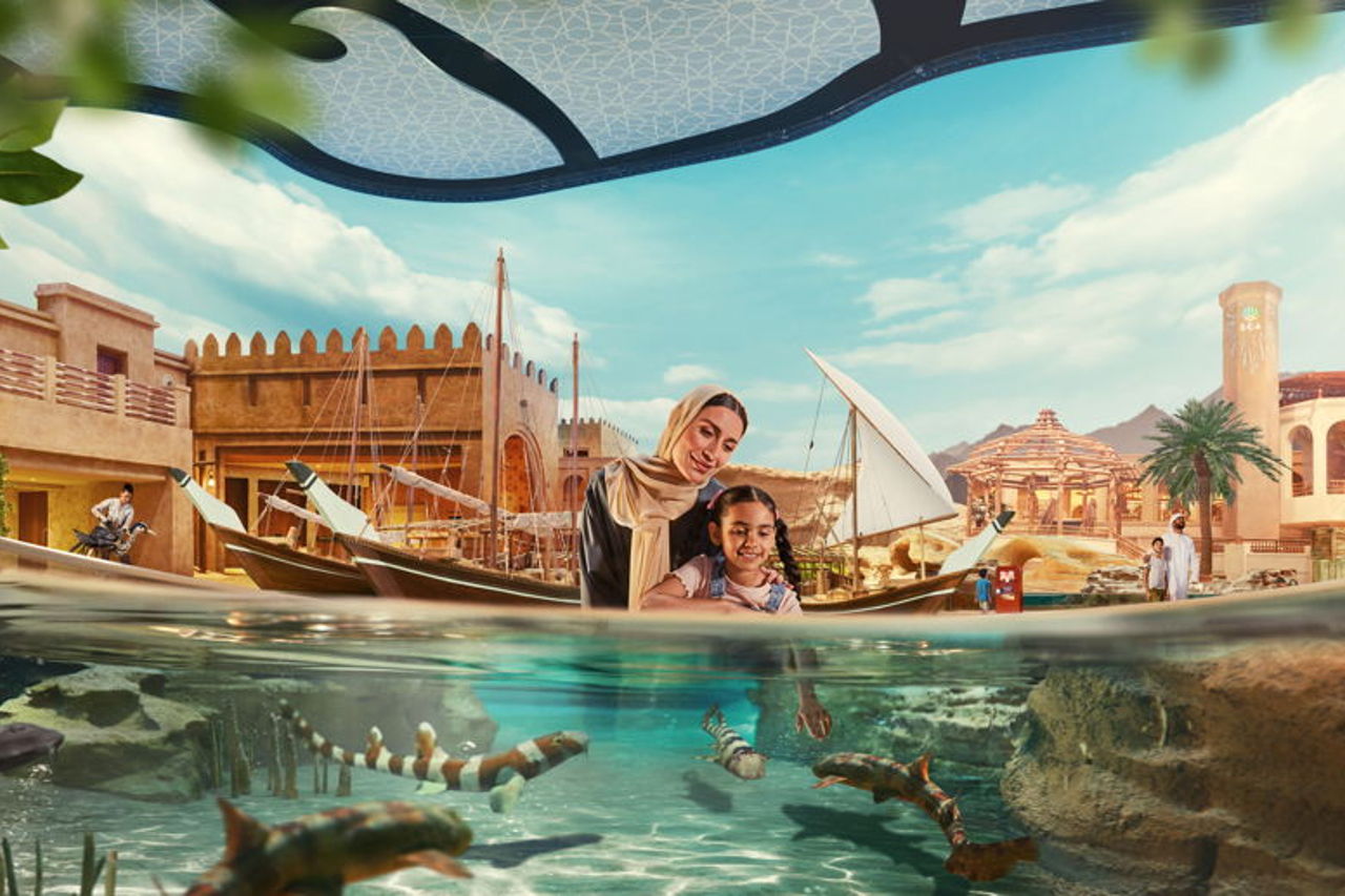 От полюсов до тропиков: тематический парк Sea World 