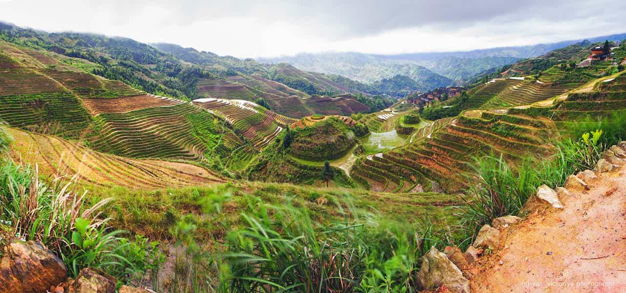 Рисовые террасы Лунцзи (Longji): хайкинг, деревни и локальная кухня - фото 2