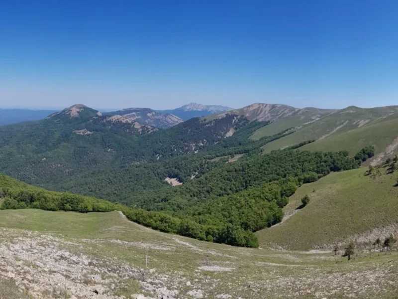 Заповедная природа. Поездка в национальный парк «Крымский» — фото 2, Ялта | Покатаем