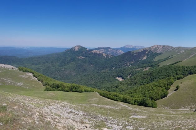 Главное изображение экскурсии - Заповедная природа. Поездка в Крымский заповедник (эксклюзив)