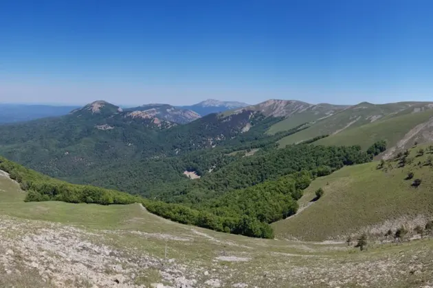 Заповедная природа. Поездка в национальный парк «Крымский» — фото 2