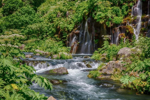 Виды Увлекательный трип в Картли - Каньон Дашбаши!