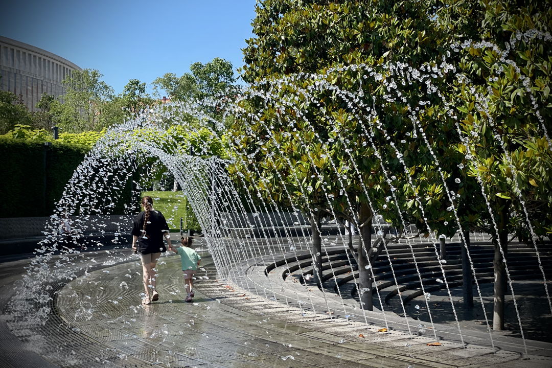 Прогулка по парку Галицкого с гидом по Краснодарскому краю — фото 3