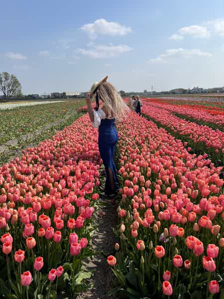 Из Амстердама в парк тюльпанов Кекенкоф - фото 23