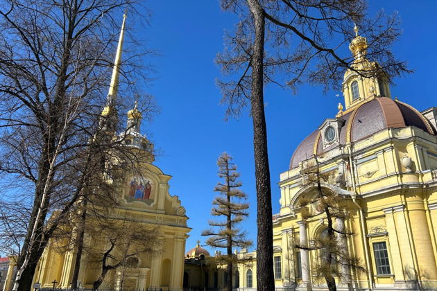 Фото к экскурсии Петропавловская крепость — колыбель Петербурга