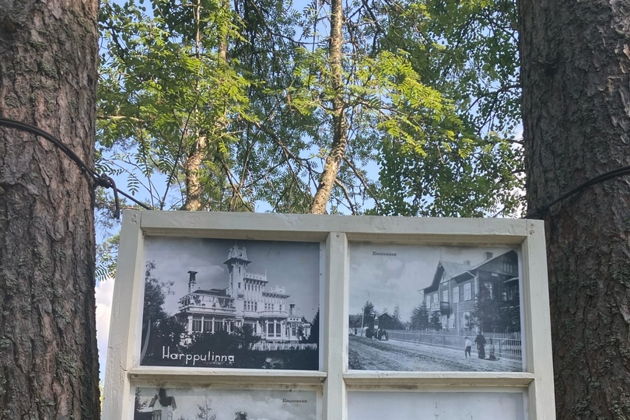 Фото к экскурсии Комарово (Лесная сторона). От старинных дач до "будки" Ахматовой.