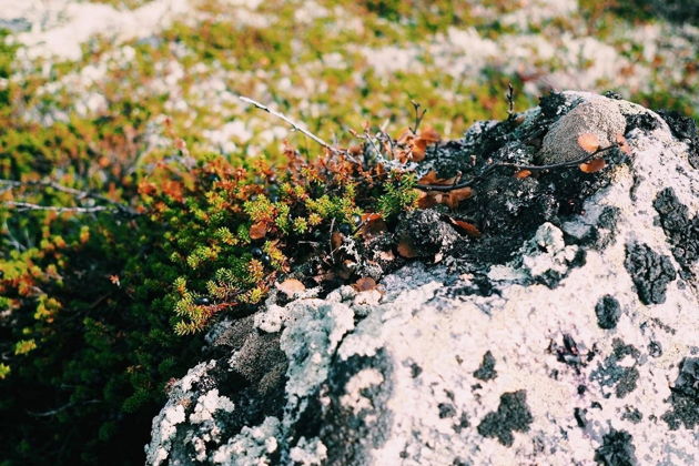 Виды Увлекательный пеший подьем в Ловозерские тундры