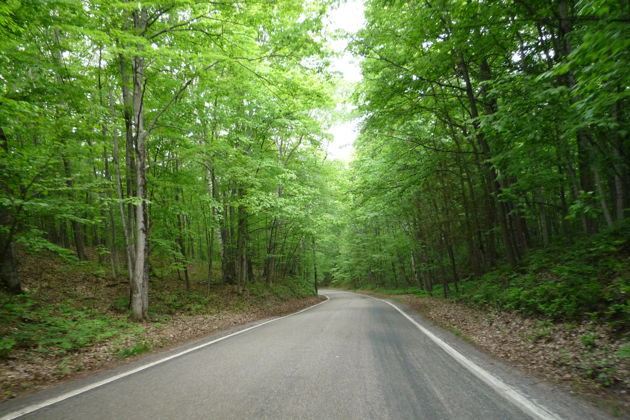 Виды Тианети, Сабадурский лес — ожившая сказка в Грузии  