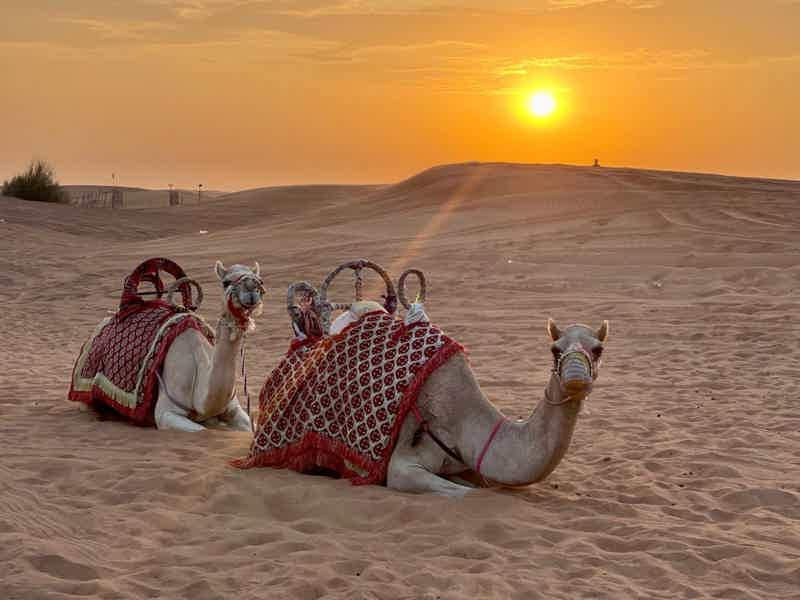 Пустынное Сафари - фото 4