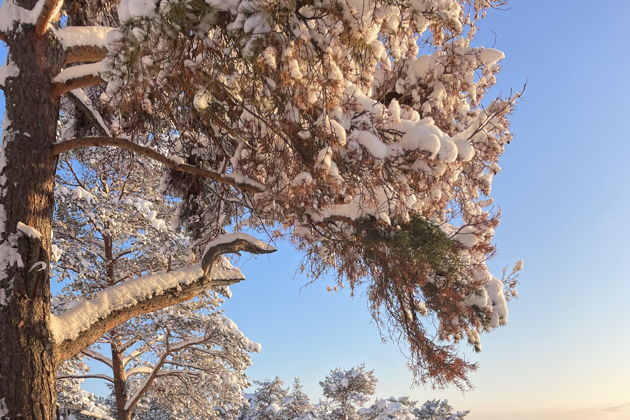 Петрозаводск, Шунгит и Чертов стул с пикником