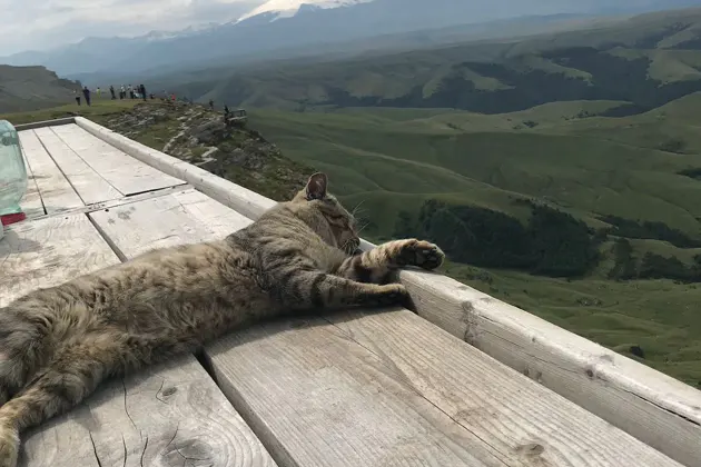 Путешествие в русскую Исландию — на плато Бермамыт — фото 3