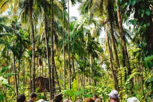 Весь Гоа за один день: Дудхсагар, плантация специй и Старый Гоа