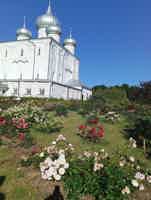 Экскурсия "Сокровища двух городов за 1 день: Валдай и Великий Новгород" - фото отзыва 1