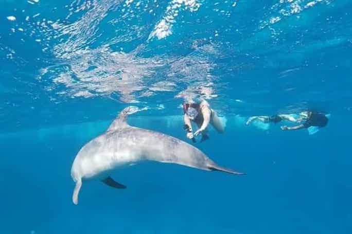 Дом дельфинов 