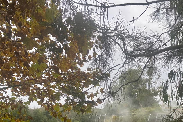 Виды Термальный источник Кындыг и старый Сухум