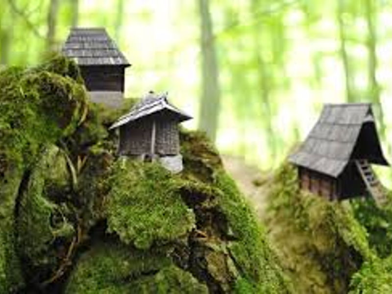 Шарганская осмица-Златибор-пещера Стопича... - экскурсия в Белград, Сербия
