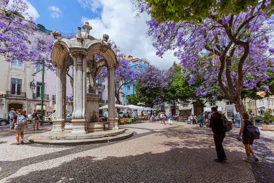 Богемный Шиаду и старинная Алфама – пешеходная экскурсия по Лиссабону - фото 5
