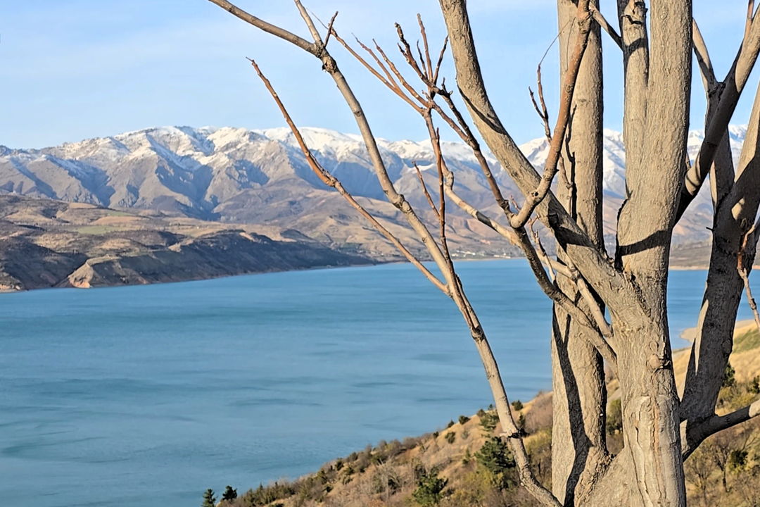 «Водопады, тропы и Чарвак» — фото 4
