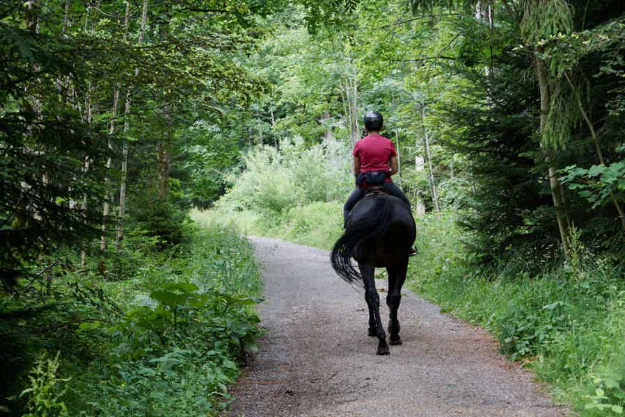 Прогулка на лошадях по горам Геленджика - фото 5