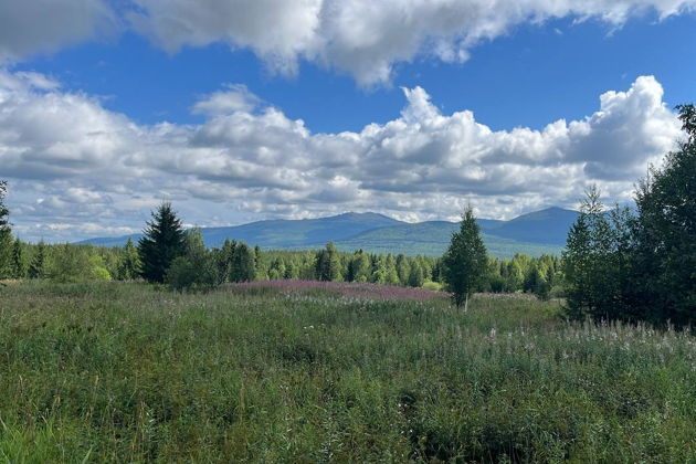 Виды Джип-тур «Подкова Урала»: экстрим лесного бездорожья