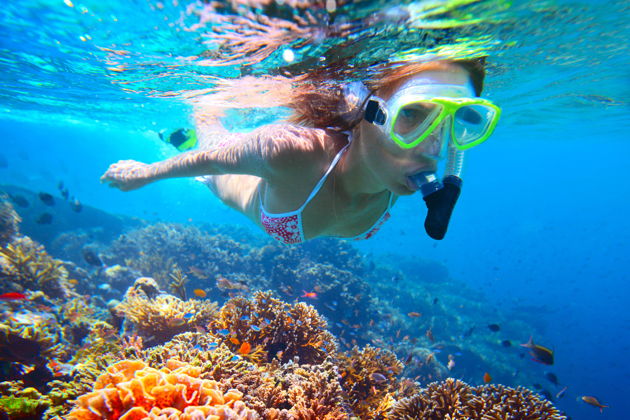 Виды Снорклинг в ДиббаэльФуджейре — морское приключение в Оманском заливе