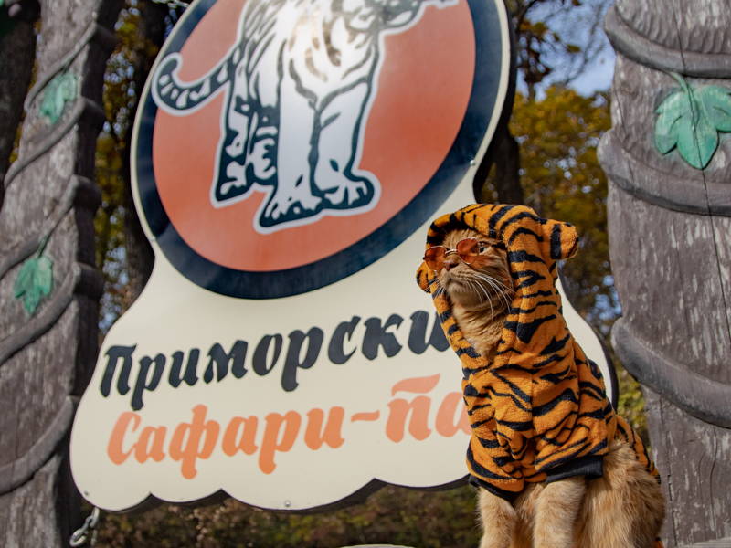 Три в одном: тур в сафари-парк и бухты Шамора и Стеклянная