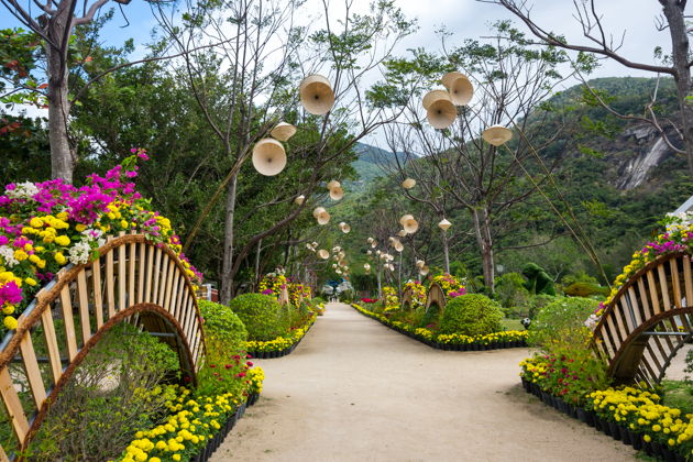 Входной билет на остров Обезьян и Орхидей: путешествие в мир дикой природы