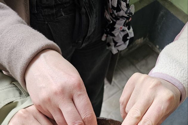 Виды Цокот копыт по мостовой — история частного конного извоза в Москве