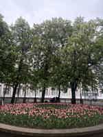 Экскурсия "Вечерняя прогулка по Бресту в сборной группе" - фото отзыва 1