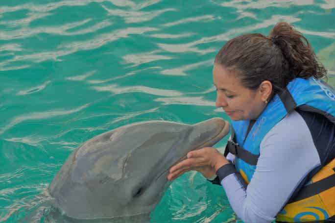 Dubai: Dolphin Swim And Aquaventure Waterpark