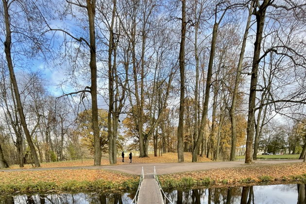 Виды В Екатерининский и Александровский дворцы и парки — на комфортабельном авто