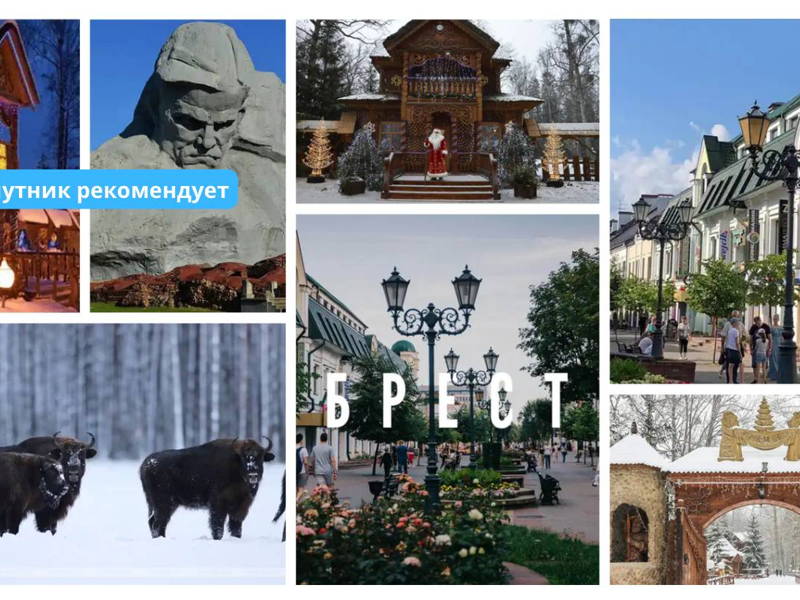 Гродно-Беловежская пуща-Каменец-Брест(Брестская крепость) с видеогидами