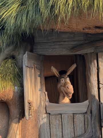 Посетите яркие шоу и тематические зоны