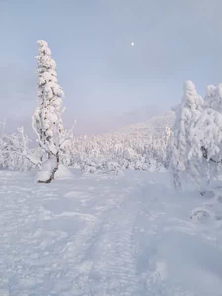 Катание на снегоходах по сахалинским сопкам - фото 2
