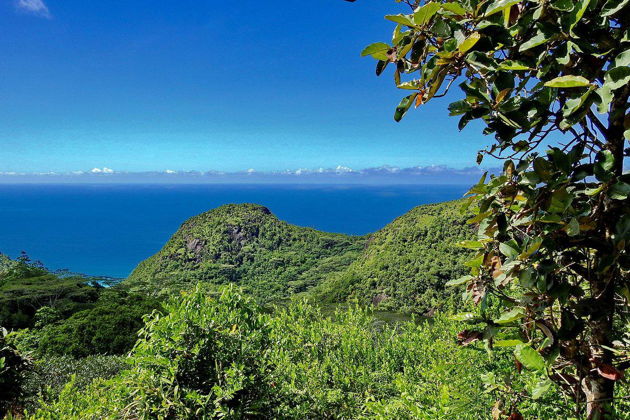 VIP-день на Сейшелах: остров Маэ и приватная яхта