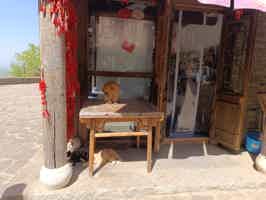 Экскурсия "Губэй — город на воде" - фото отзыва 1