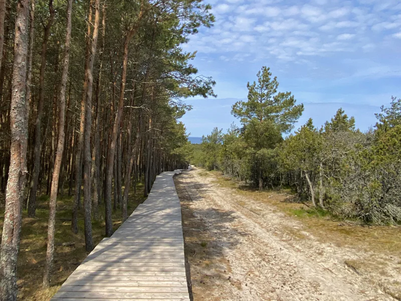 Тропы, пляжи и поселки Куршской косы и Зеленоградск в минигруппе — фото 4, Зеленоградск | Покатаем