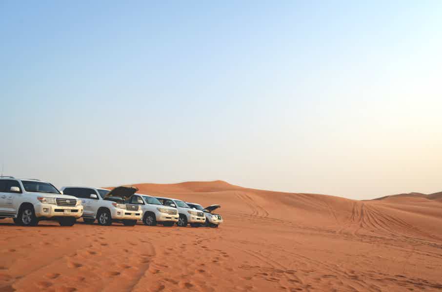 Утреннее сафари в Абу-Даби - фото 1