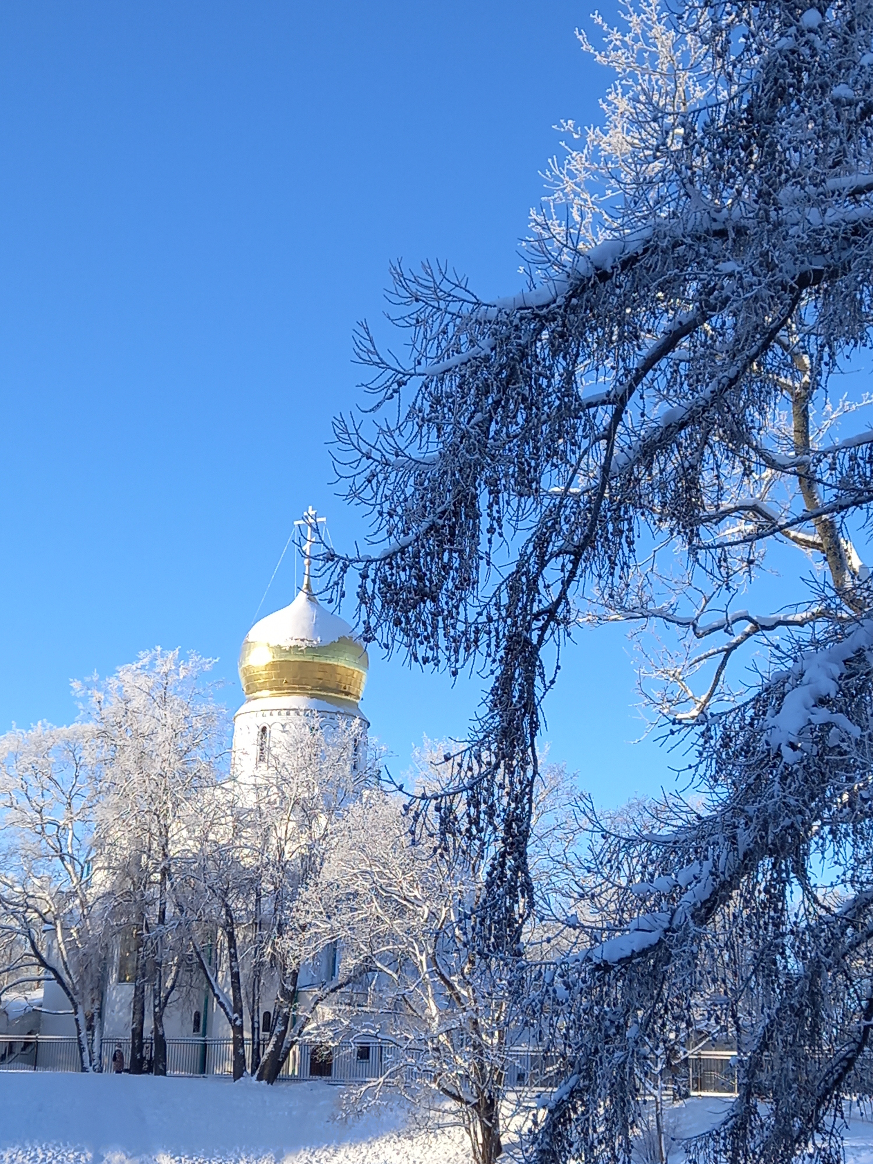 Царское Село: Александровский дворец и парк, Федоровский городок (на авто)