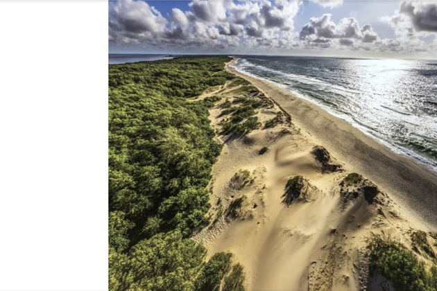 Виды Экскурсия-конструктор по побережью: от Куршской косы до старинных курортов