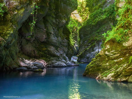 Колхидский лес